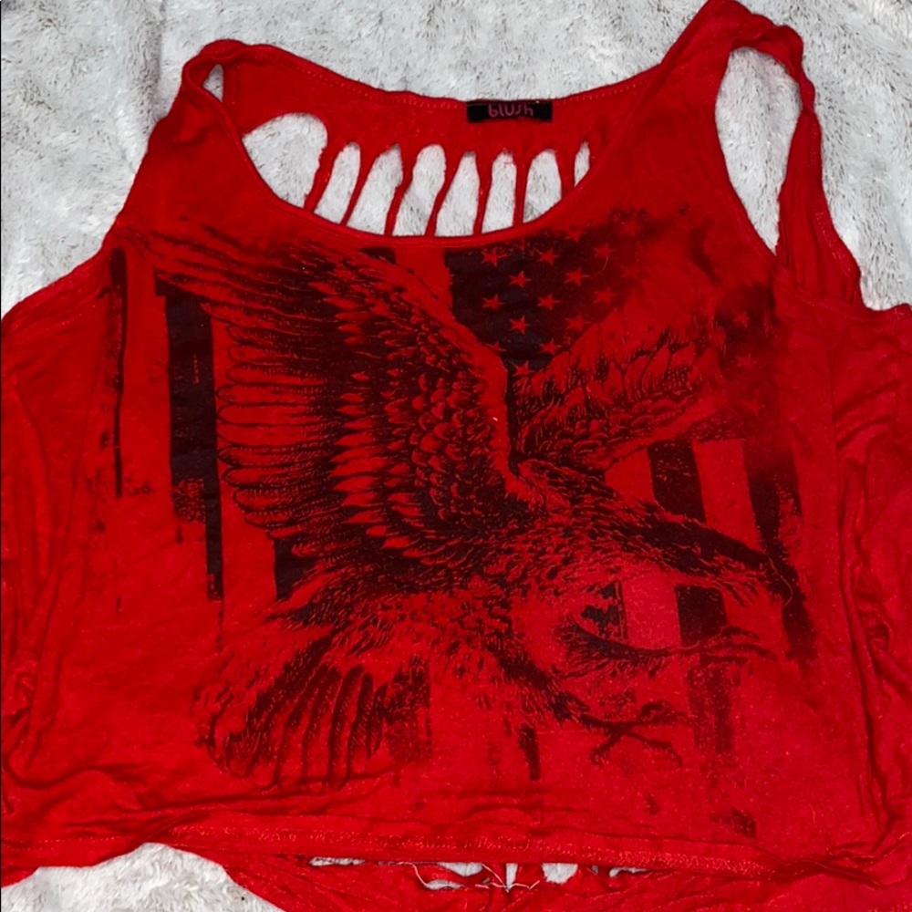 American Flag Cropped Tee Open back